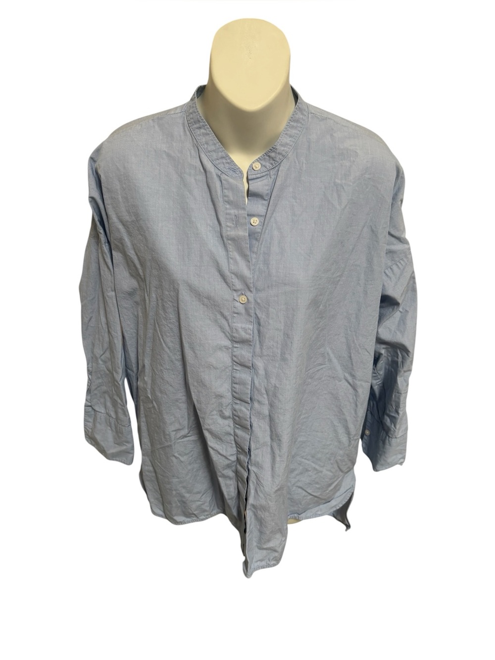 Everlane Blue Button Down Shirt